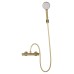 Смеситель для душа с термостатом WONZON & WOGHAND INN 5, Брашированное золото (WW-B1005-A-BG)