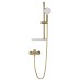 Смеситель для ванны с душевым гарнитуром WONZON & WOGHAND ALFA, Брашированное золото (WW-AE3201-BG)