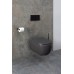 Подвесной унитаз Allen Brau Priority 4.31001.AN антрацит