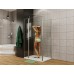 Душевой уголок Allen Brau Priority 100x100 3.31004.00 + 3.31019.00