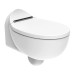 Подвесной унитаз Creavit Foglia FG321-11CB00E-0000