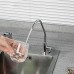 Смеситель для кухни Frap H52 F1052-10