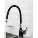 Смеситель для кухни Frap F4453-04