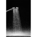 Душевая лейка Hansgrohe Raindance Select S 26014000