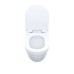 Подвесной унитаз Iddis Cloud CLORDSEi25