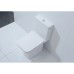Унитаз компакт Orans Ceramic WM9905