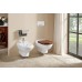 Подвесной унитаз Villeroy & Boch Hommage 6661B0R1