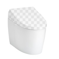 Приставной унитаз Toto CS989PVR#NW1 без сиденья