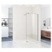 Душевая перегородка WeltWasser WW400 110G-1