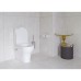 Унитаз компакт Vitra Zentrum 9012B003-7226 с функцией биде и микролифтом