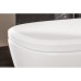 Подвесной унитаз Villeroy&Boch Antheus 4608R0R1