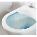 Подвесной унитаз Villeroy&Boch Antheus 4608R0R1