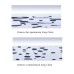 Душевая дверь Creto Nota 120х200 122-WTW-120-C-B-6